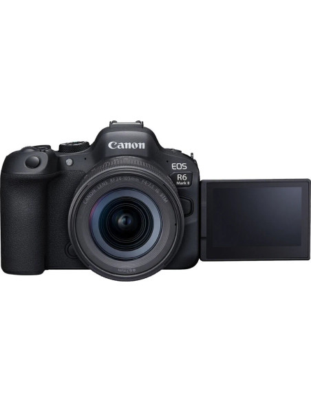 R6 Mark II + RF 24-105mm f/4-7.1 IS STM